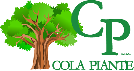Vivaio potature Cola Piante