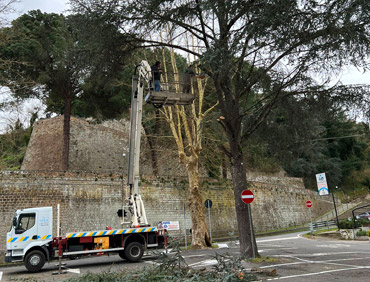 Abbattimenti controllati