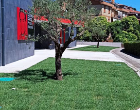 Manutenzione Giardini a Viterbo