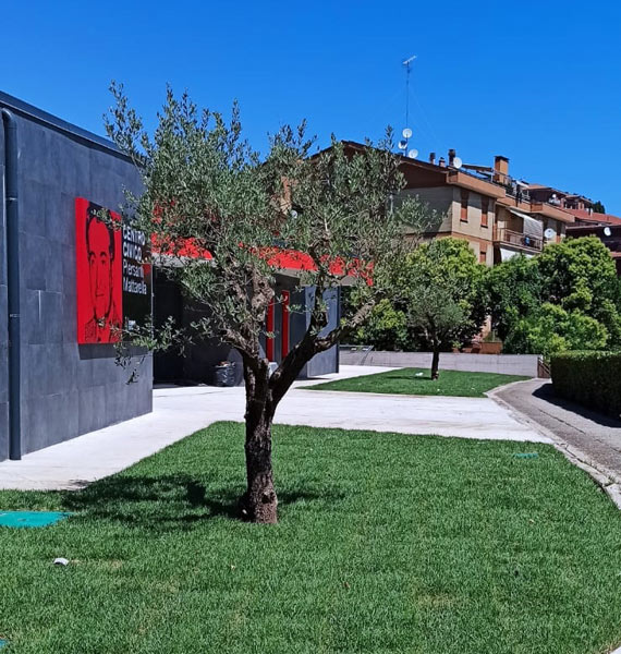 Progettazione giardini Viterbo